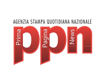 banner PPN